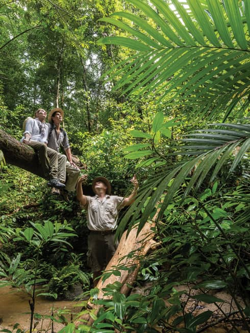 Couple sit on large downed tree in rainforest as guide points up 