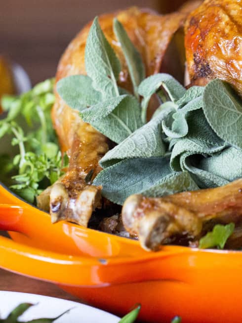 Thanksgiving turkey in orange dish