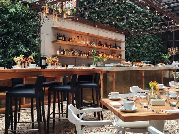 Dining patio tables and bar under living wall od green ferns, pergola and lights 