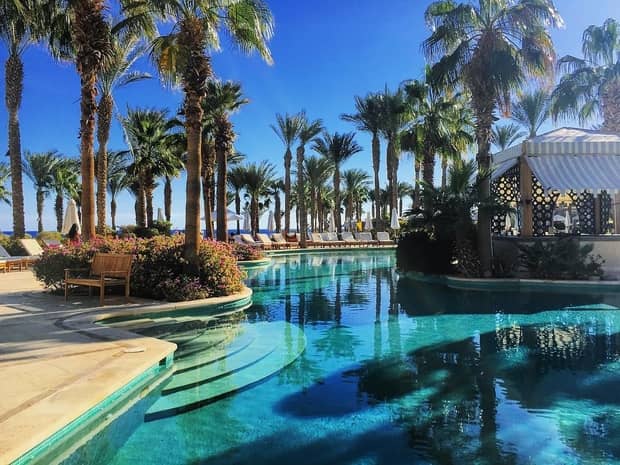 Steps leading into turquoise water of outdoor swimming pool, tall palm trees along deck
