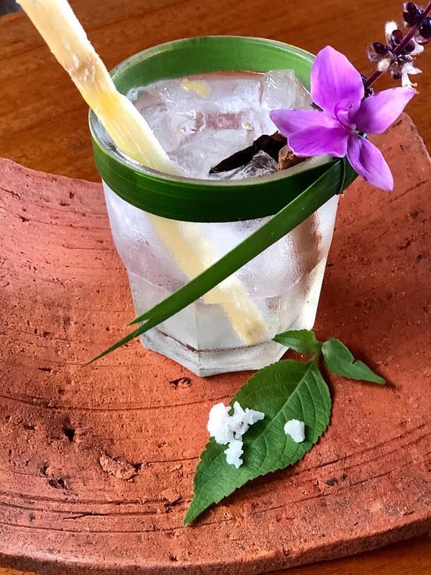 A refreshing cocktail garnished with a purple flower and sugarcane stick, served on a rustic terra cotta plate with a green leaf and coarse salt.