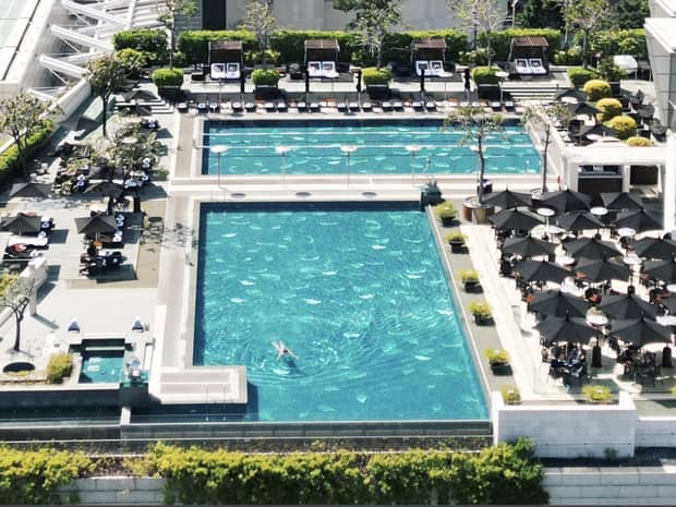 Aerial view of a large rooftop pool surrounded by lush greenery, lounge chairs and umbrellas