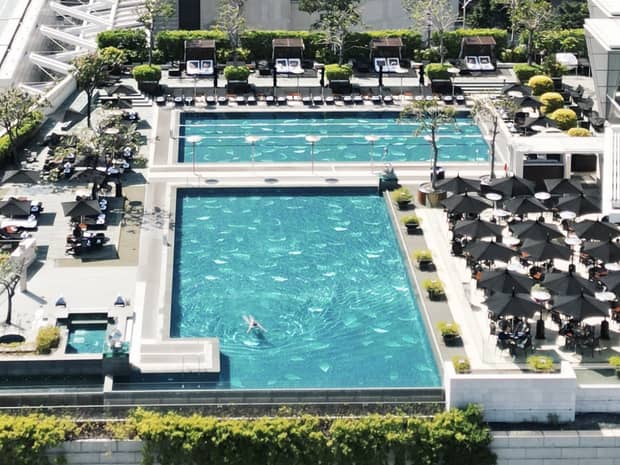 Aerial view of a large rooftop pool surrounded by lush greenery, lounge chairs and umbrellas