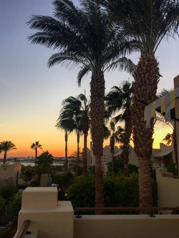 Silhouettes of tall palm trees over white resort building against sunset