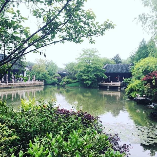 Shrubs trees around West Lake, Four Seasons Hotel Hangzhou villas 