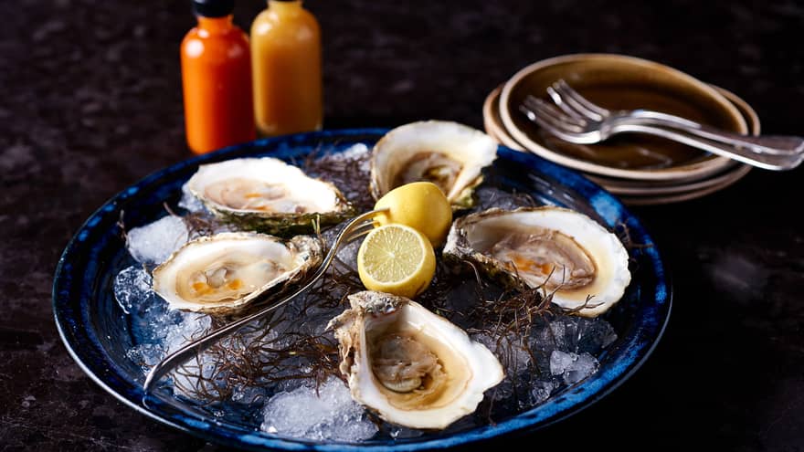 Plate of half shell oysters, lemons on ice 