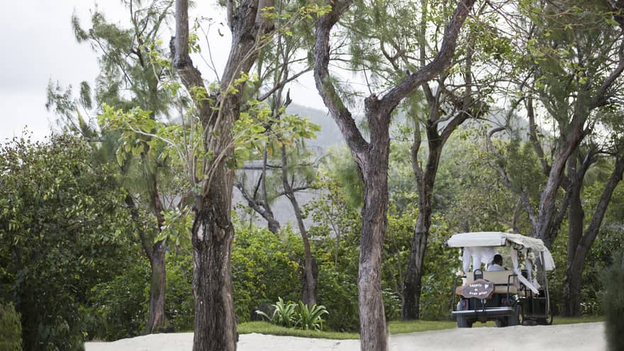 Golf cart with sign reading Happy Ever After on path under trees
