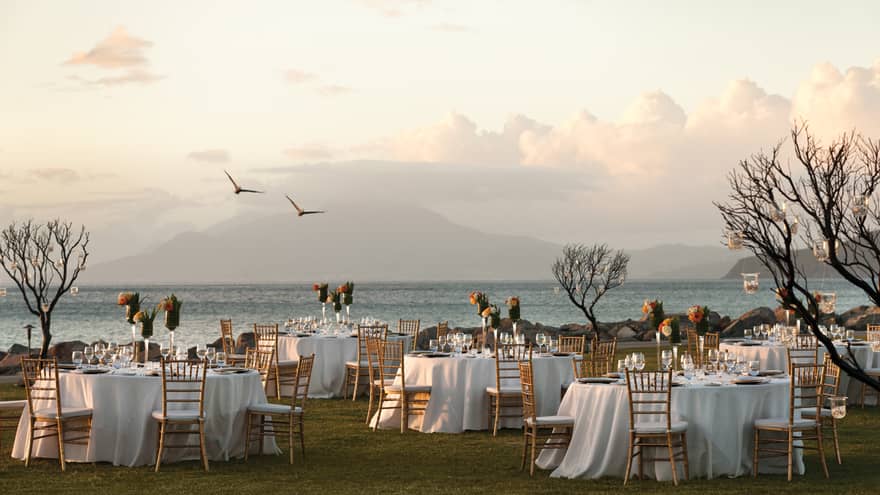Two birds fly over outdoor dining tables, small trees on lawn by ocean 