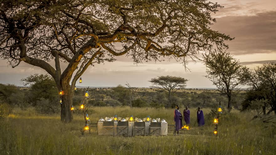 Lanterns line tree, dining table beside three people in Serengeti field