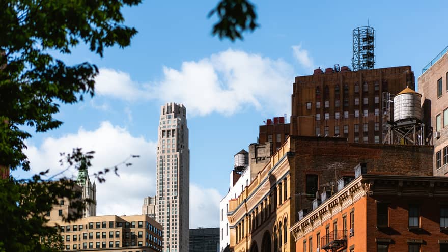 Cityscape with historic and modern buildings under a bright blue sky, framed by the leaves and branches of a tree