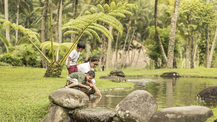 Fish Feeding
