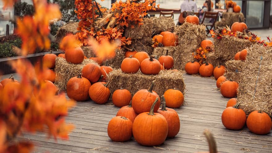 Pumpkins and hay on a wooden deck