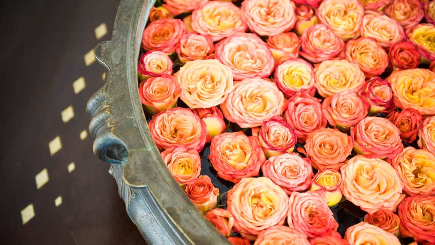 A decorative bowl of water with dozens of small, floating pink-and-yellow rose heads 