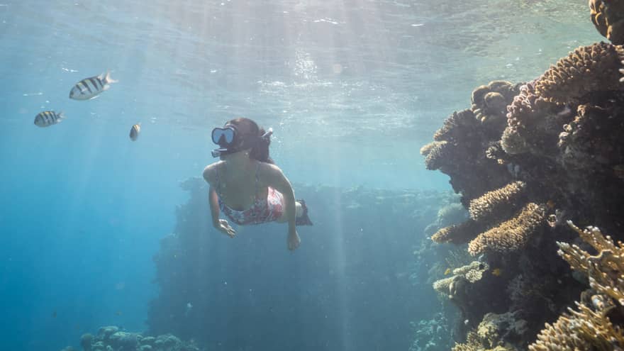 Woman in pink bathing suit snorkels among colourful fish and coral reefs, sunlight streaming through the water's surface