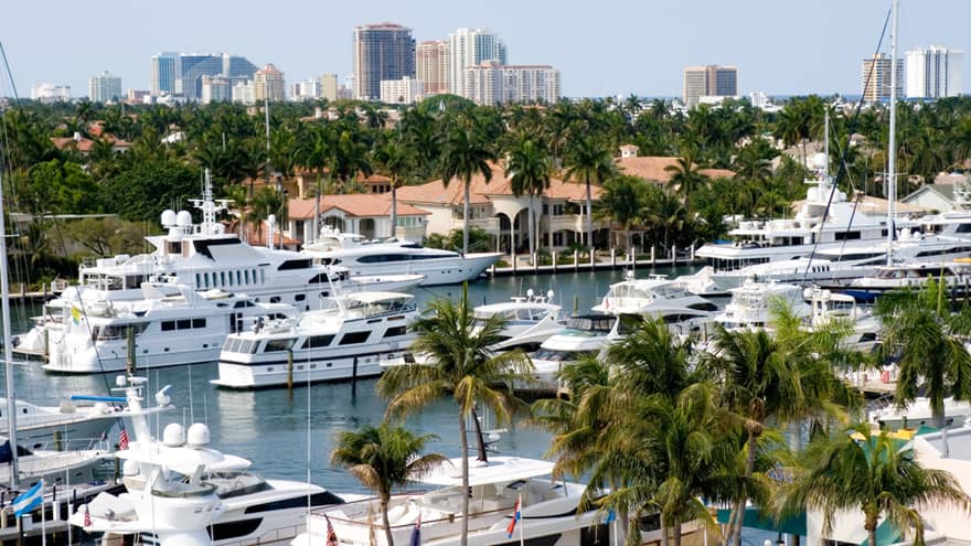 Many boats in the water with palm trees on the land and city buildings in the background.