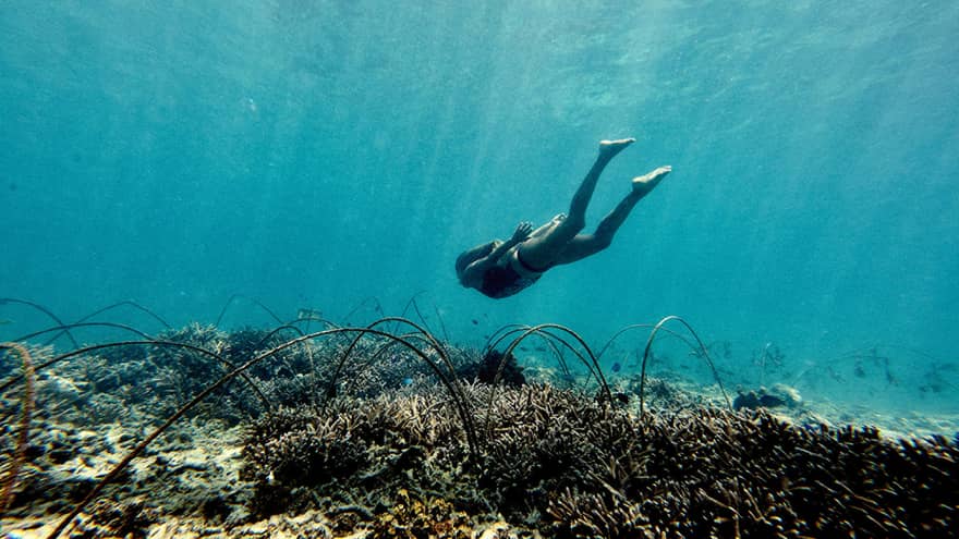 Underwater view of woman diving down to coral reef