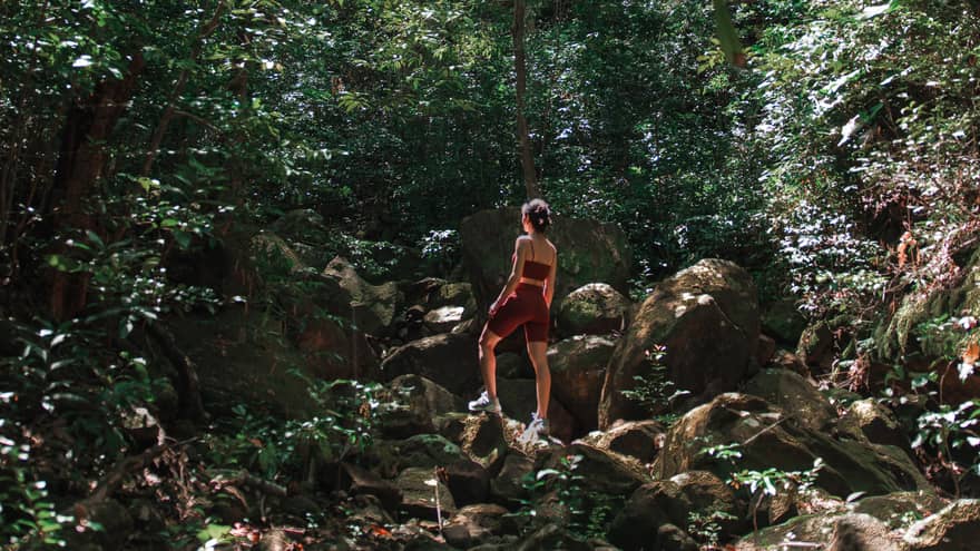 Woman in athletic wear standing atop a rocky hill and surrounded by green forest