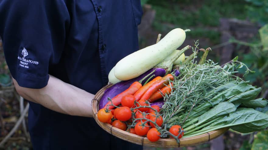 A person holding a bowl of fresh vegetables