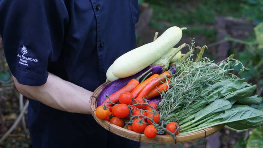 A person holding a bowl of fresh vegetables