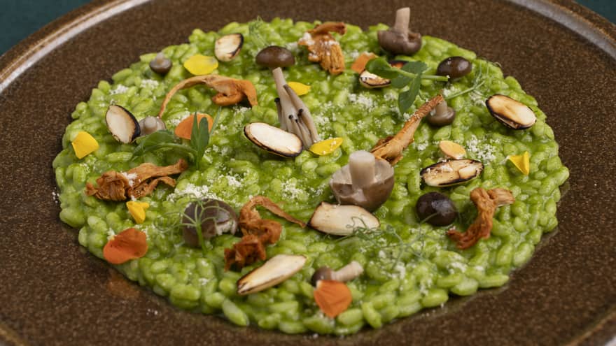 Green split-peas topped with various types of mushrooms and sprigs of greens