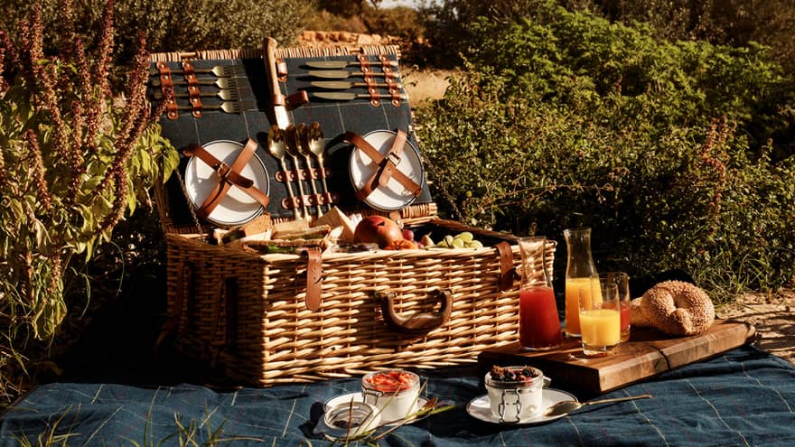 An open picnic basket filled with fresh fruit and bagels is laid out on a blanket in a lush outdoor setting under blue skies.
