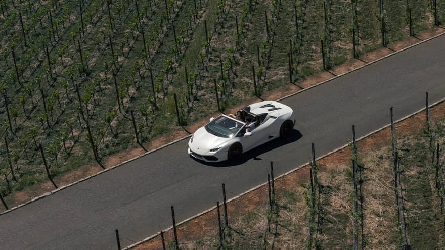 Aerial view of a white car driving on a road through a vineyard