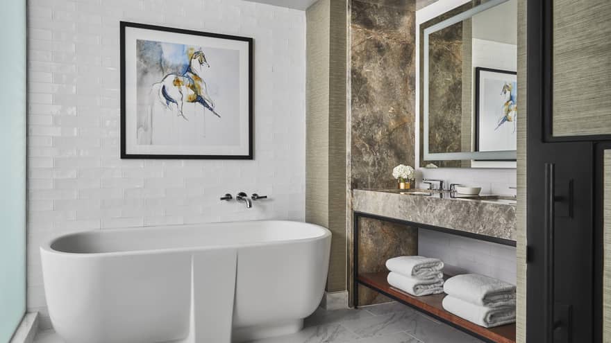 Hotel suite bathroom