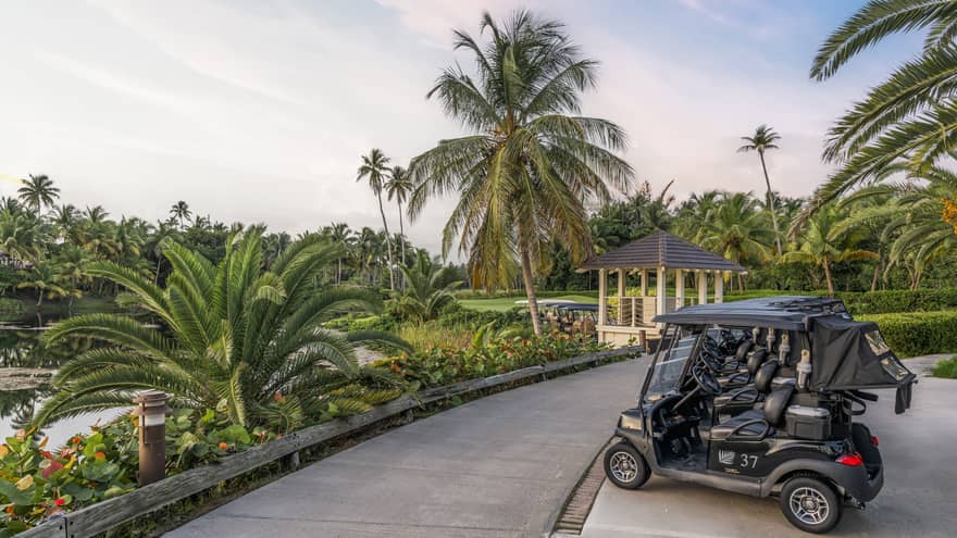 Golf carts in tropical setting