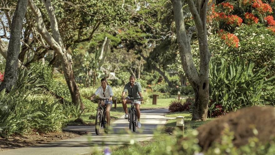 Couple rides bicycles on a tree-lined path