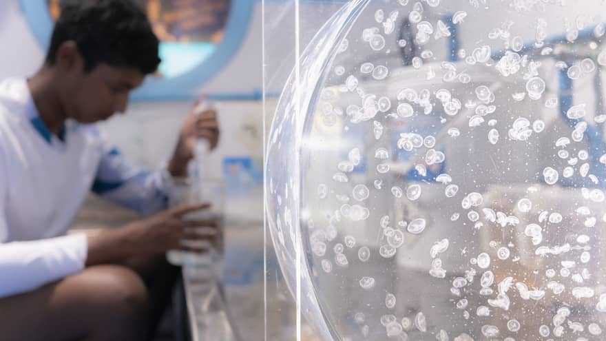Teen boy completes Plankton Biologist Trainee Module