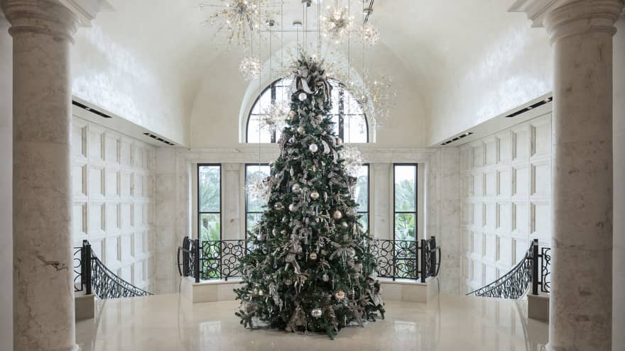 An evergreen tree is decorated at the top of a staircase, intricate lights hang above it
