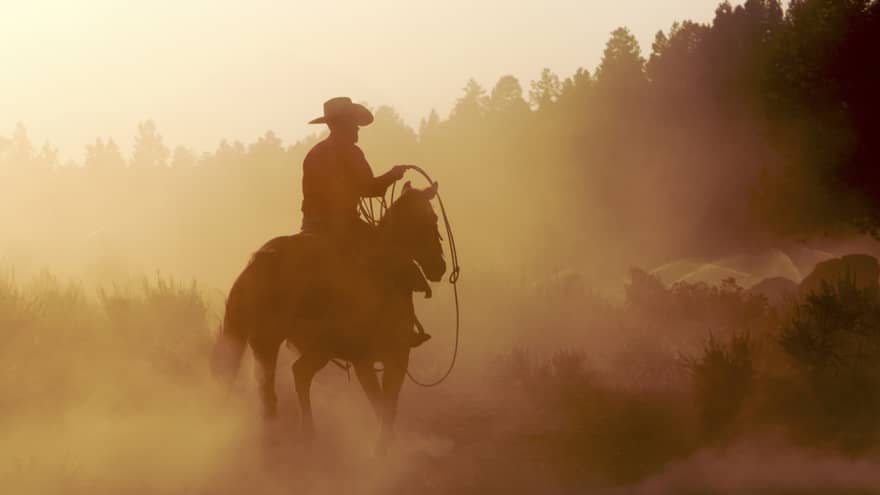 Silhouette of cowboy with rope on horse in misty mountain forest