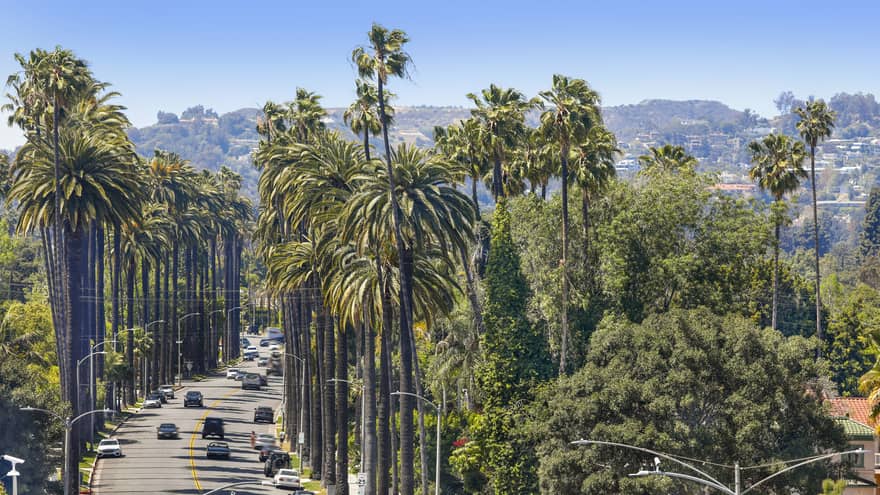 Elevated view of Beverly Hills roadway lined with palm trees