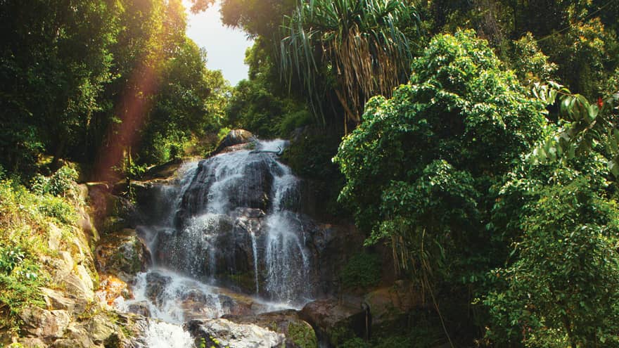 Waterfall in Koh Samui jungle