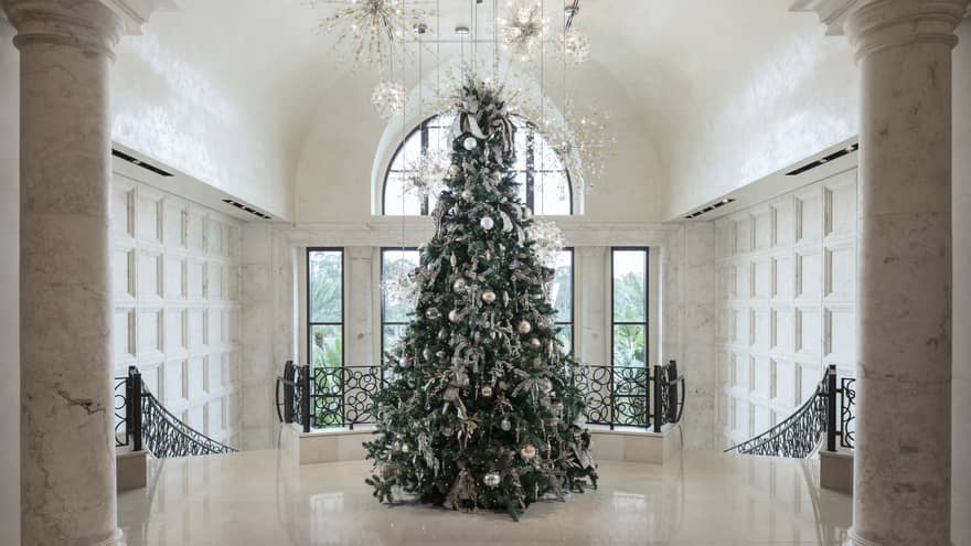 An evergreen tree is decorated at the top of a staircase, intricate lights hang above it