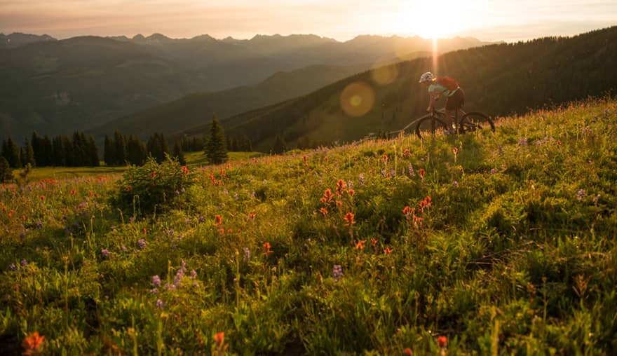 Sun sets over mountain meadow