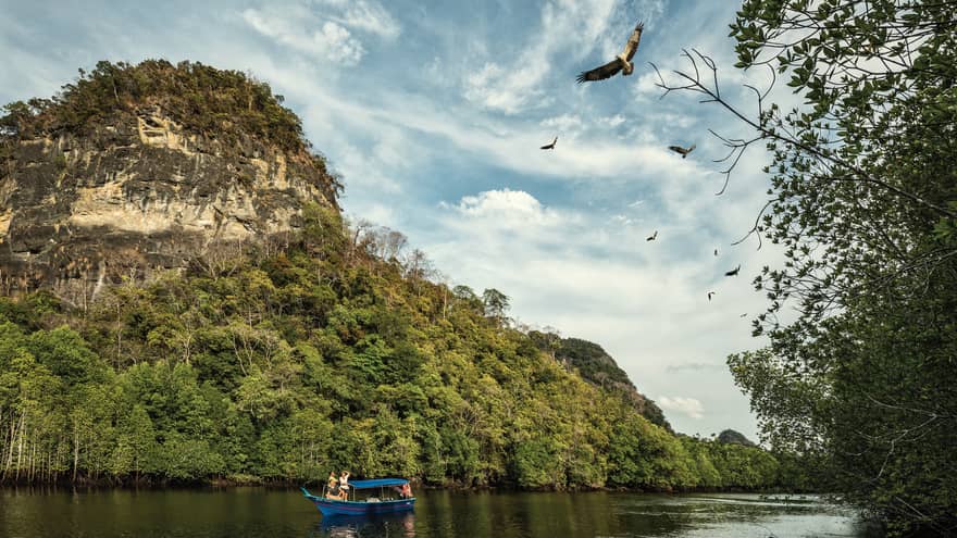 A majestic mountain rainforest looms behind tourists in a small, canopied riverboat as they watch eagles soaring high above.