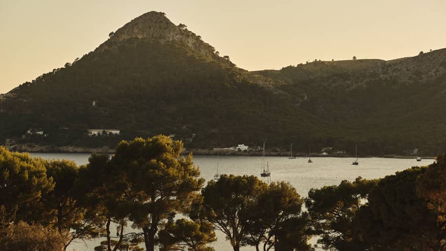 View of the Bay of Formentor and pine trees from Four Seasons Resort Mallorca