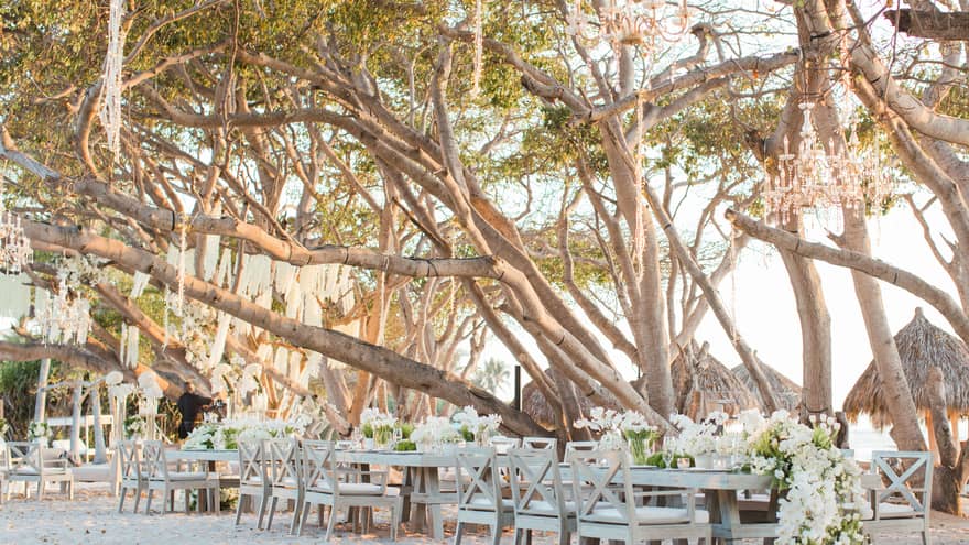 Banquet tables decorated with large white floral centerpieces on a beach underneath large trees