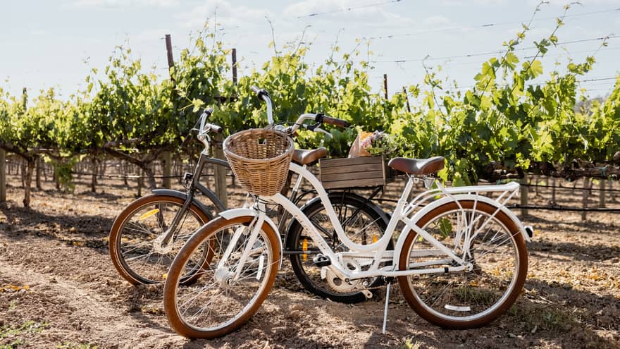 Two bikes rest against vineyards