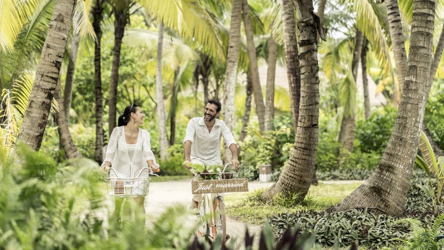 Couple ride bicycles down path under palm trees