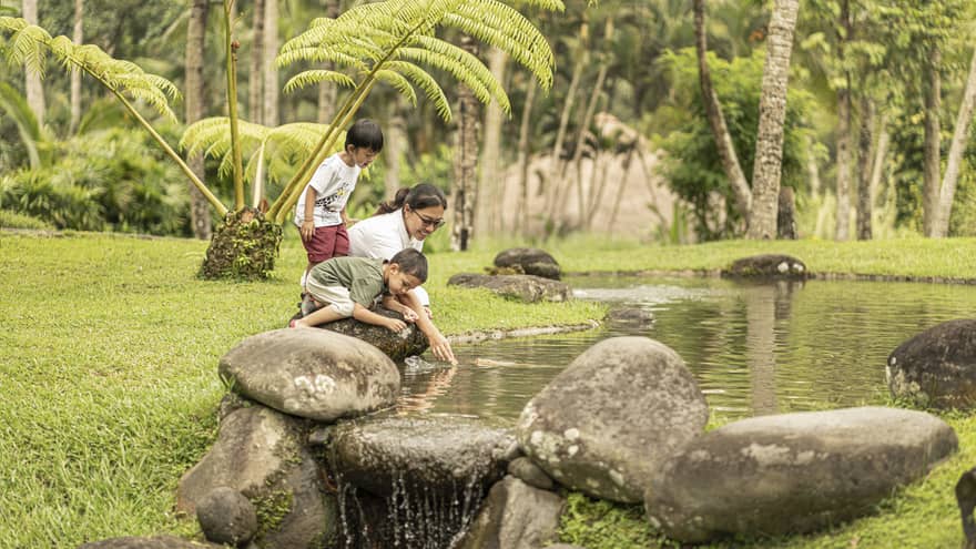 Fish Feeding