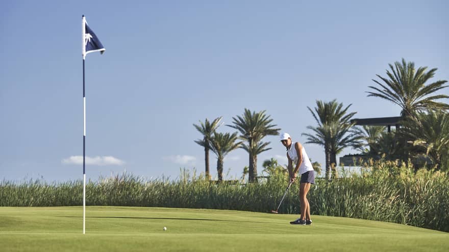 On a bumpy green bordered by reeds and palm trees, a golfer watches the ball's movement toward a hole marked by a blue flag. 