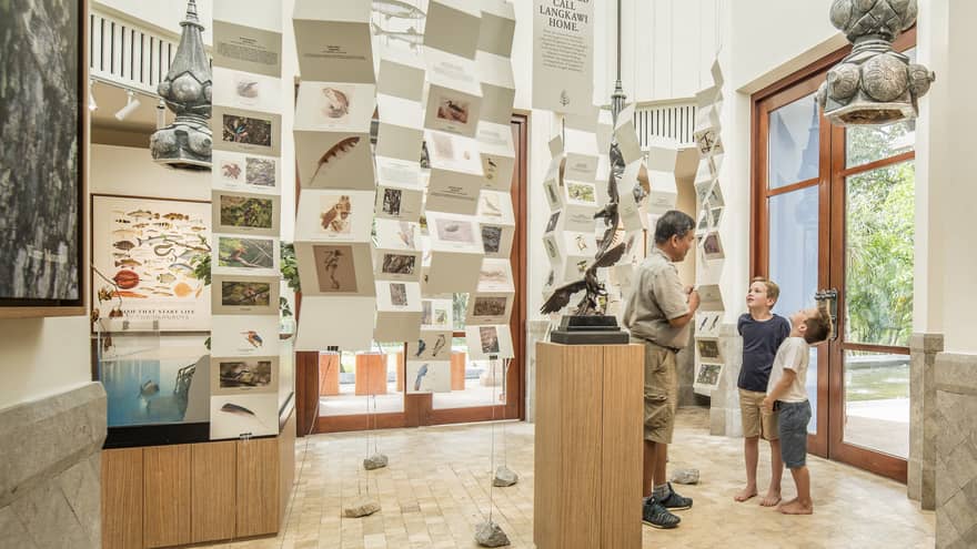 A tour guide teaches two boys about the island's creatures at the Mangroves Discovery Centre