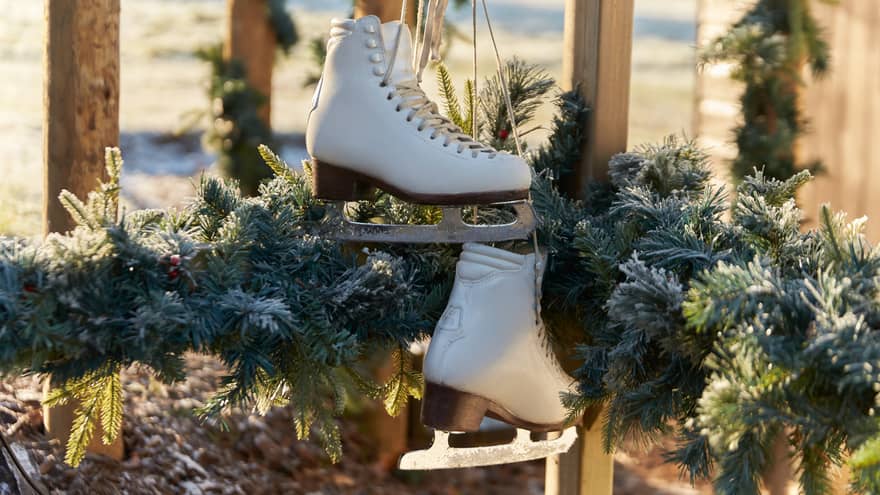 Ice skates hanging up by a tree.
