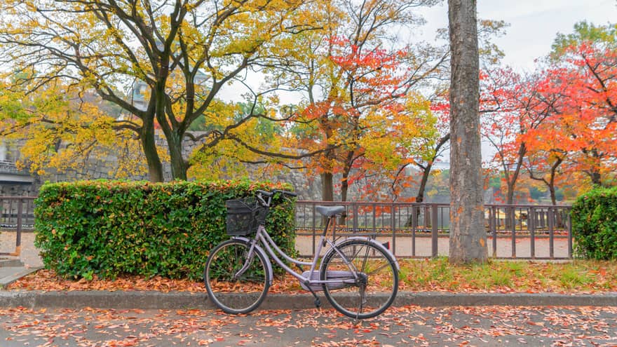 Classic bicycle parked on fallen-leaf-covered street beside bushes with autumn-coloured trees  in backdrop