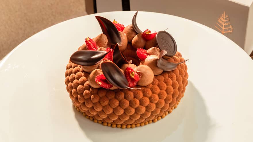 Chocolate gâteau topped with chocolate leaves, sliced raspberries and dollops of chocolate icing