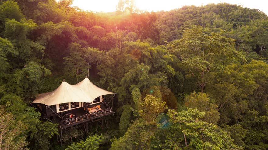 Luxury treehouse tent lodge nestled in dense green jungle at sunset