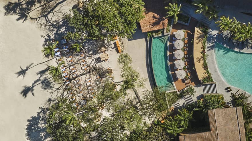 Aerial view of a row of white lounge chairs on the edge of a pool and walkways lined with tropical plants