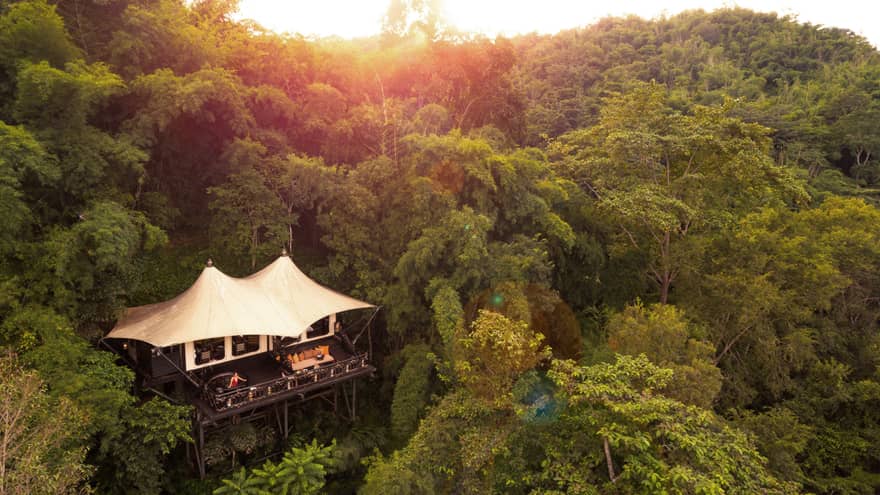 Luxury treehouse tent lodge nestled in dense green jungle at sunset